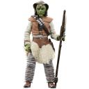 Star Wars The Vintage Collection Return of The Jedi - Wooof