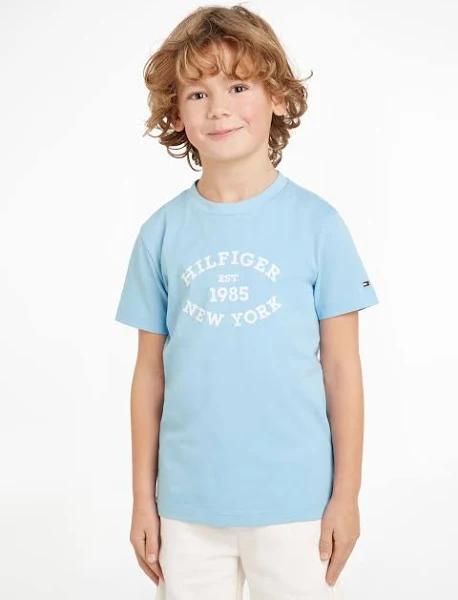 Tommy Hilfiger-Boys Blue Logo T-Shirt