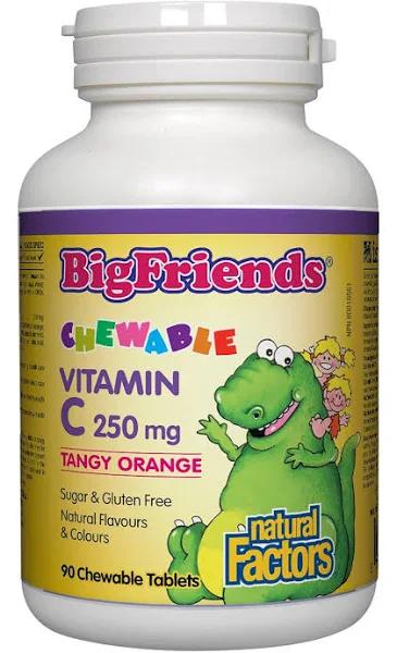 Natural Factors Chewable Vitamin C 250 Mg, Tangy Orange, Big Friends, 90 Tablets