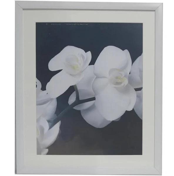 Homeworth Photo Frames Certificate Frames Series White / Black / Timber 20x24" / White