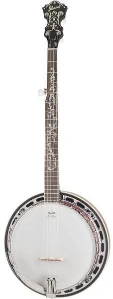 Ibanez B200 5 String Banjo