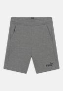 Puma | Kids Essential Sweat Shorts (Grey)