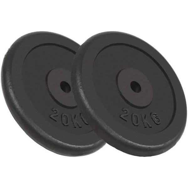 vidaXL Weight Plates 2 Pcs 40 kg Cast Iron