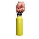 Hydro Flask 21oz / 621ml Standard Mouth Bottle - Cobalt