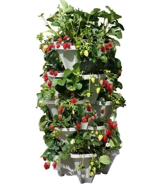 Mr. Stacky 5 Tiered Vertical Gardening Planter Indoor & Outdoor