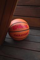 Wilson Evolution Game Basketball