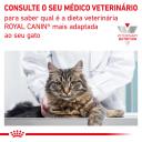 Royal Canin Veterinary Mature Consult Wet Cat Food 12 x 85g