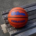 Wilson Evolution Game Basketball