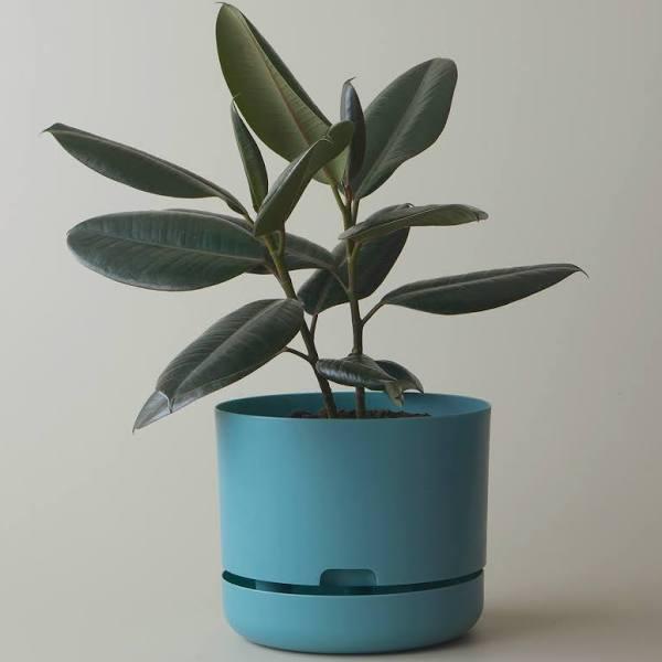 Mr Kitly Selfwatering Plant Pot 250mm / Pond Blue