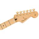 Limited Edition Fender Gold Hardware Player Stratocaster - Black