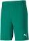 Puma Train Fav Blaster 7" Short Green, Mens Shorts, Size XXL - Color Varsity Green