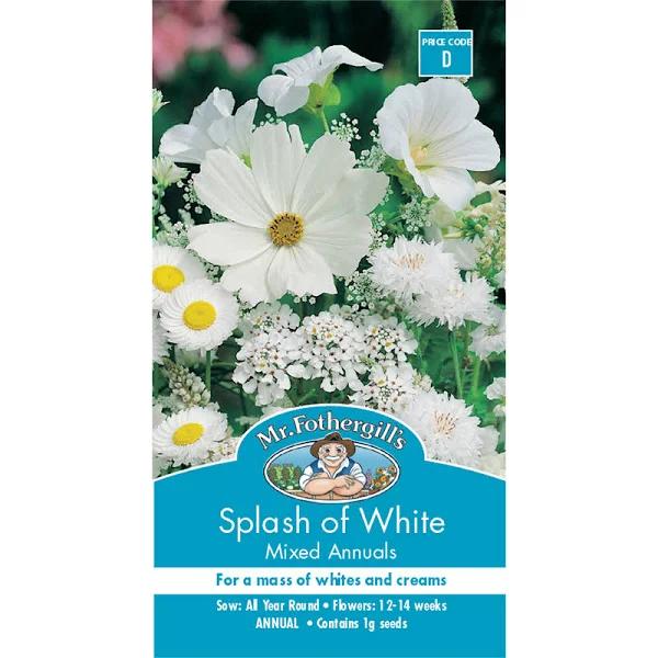 Mr Fothergill's Splash of White Flower Seeds