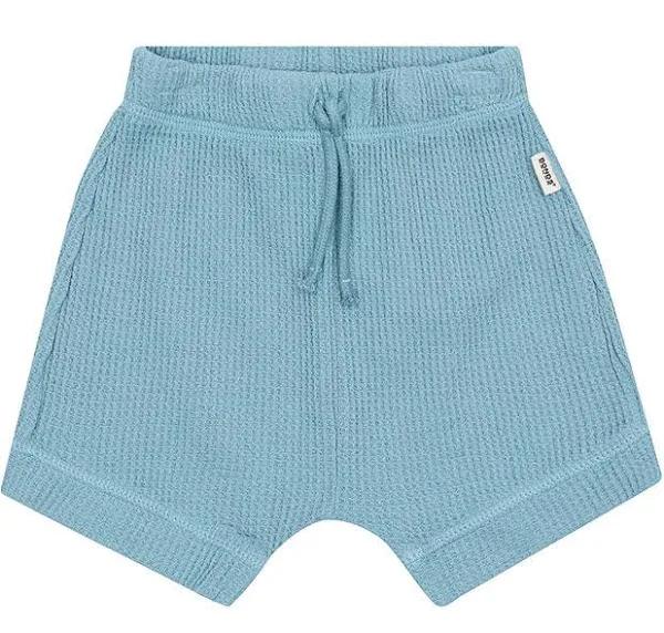 Bonds: Waffle Short - Cornflower Teal (Size 00)