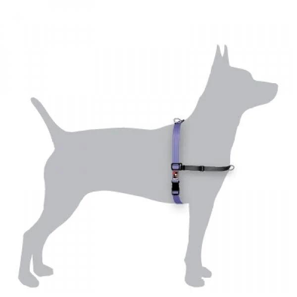 Black Dog Wear Balance Harness XLarge / Purple