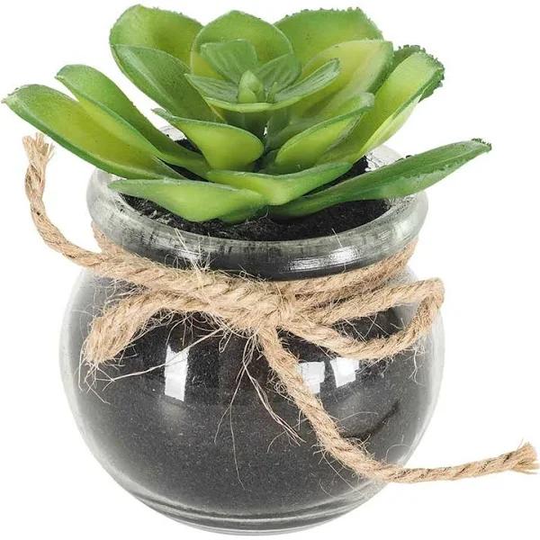 Floret Cactus Plant in Pot 9X9X8CM | Sage | Homewares | Early Settler Furniture