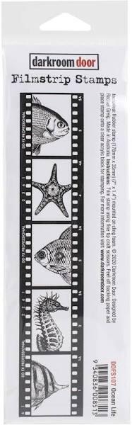 Darkroom Door Filmstrip Stamp Ocean Life