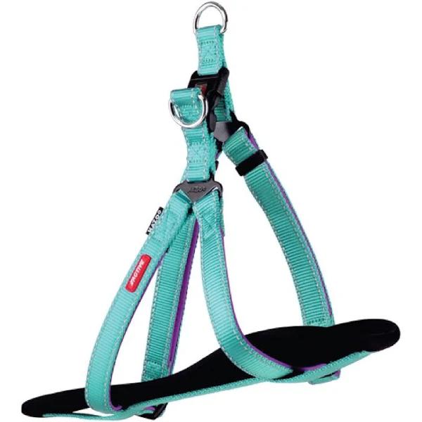 Kazoo Active DD Nylon Walking Harness Aqua Purple Small