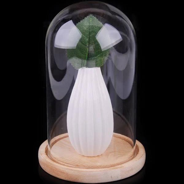 Glass Display Dome Cloche Bell Jar Base Flower Immortal Preservation