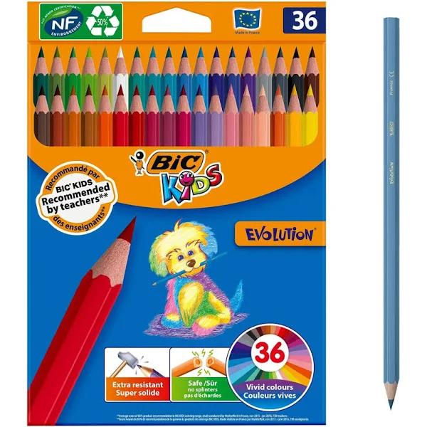 Bic Kids Evolution Colouring Pencils - Assorted Colours, Pack of 36