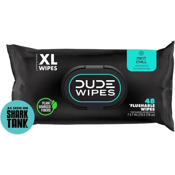 Dude Products Wipes Flushable Wet Wipes Dispenser, Mint Chill, 48count - Scented Wet Wipes with Vitamin-E, Aloe, Eucalyptus & Tea Tree Oils for