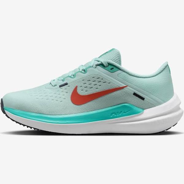 Nike Winflo 10