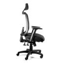 Desky Ace Ergonomic Chair