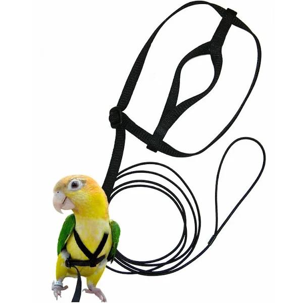 The Aviator Bird Harness | The Parrot University | Get Flocked Bird Supplies XX-Large / Black