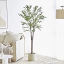 Cooper & Co. 170cm Artificial Olive Tree in Pot