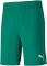 Puma Men's Train Favourite Blaster 7" Shorts - Varsity Green Size Large - AfterPay & zipPay Available