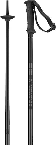 Salomon Arctic - Ski Poles