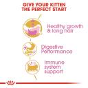 Royal Canin Dry Cat Food Persian Kitten 400g