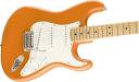 Fender Player Stratocaster (Maple Fingerboard, Black)