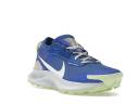 Nike Pegasus Trail 3 GORE-TEX Sprite (Women's)