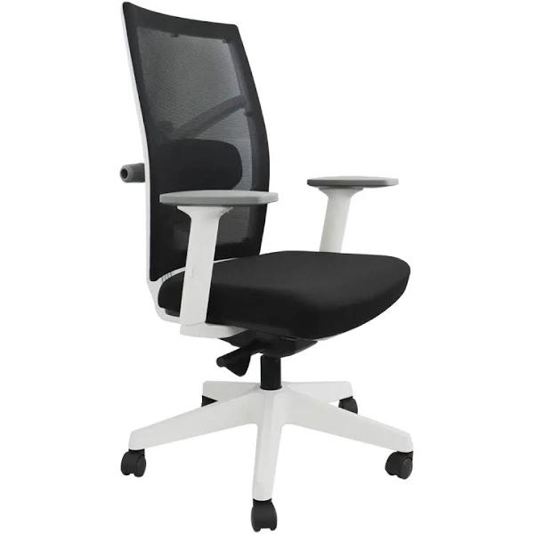 Desky Elite Ergonomic Chair