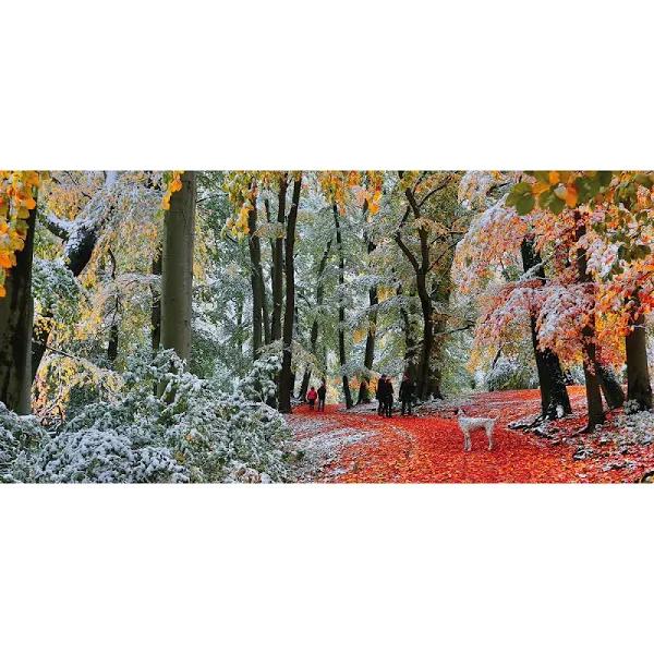 Gibsons Snow in Autumn 636pc Puzzle