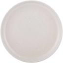 Kmart Speckled Dinner Plate