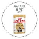 Royal Canin Cat Food Maine Coon (10 kg)