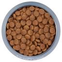 Royal Canin Medium Adult Dry Dog Food - 4 kg