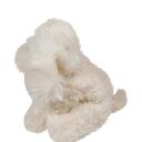 Keel Toys 32cm Signature Cuddle Puppy Labradoodle