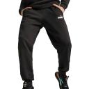 Puma Ess+ 2 Col Logo Pants fl Cl Black / S