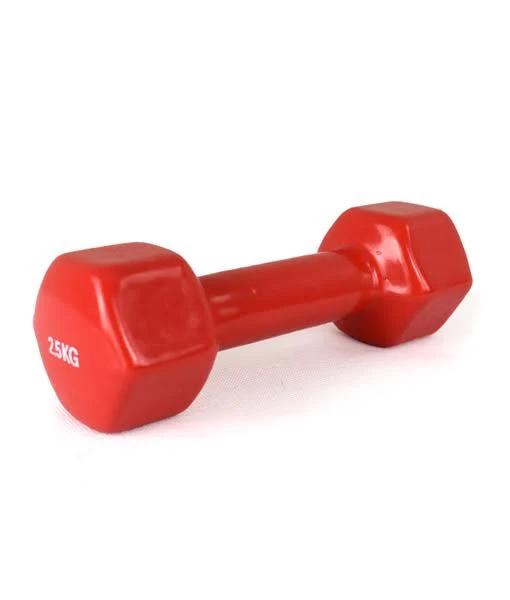 Weighted Dumbbell 2.5kg