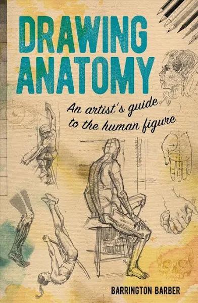 Drawing Anatomy by Barrington Barber