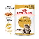 Royal Canin Maine Coon Gravy Adult Wet Cat Food 12 x 85g