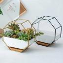 Flower Plant Pot Indoor Outdoor Garden Wall Hanging Succulent Planter Pot Vase Gold