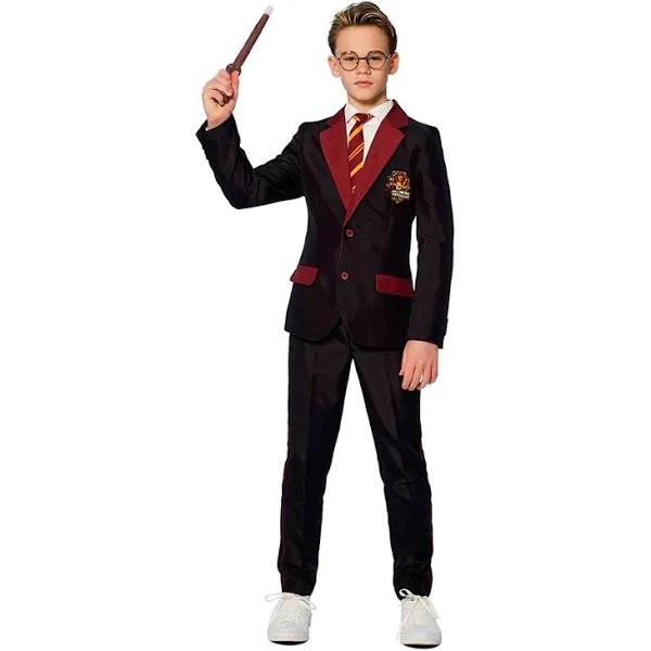 Harry Potter Boys Suitmeister