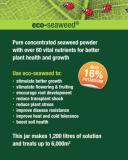 OCP Eco-Seaweed 100g