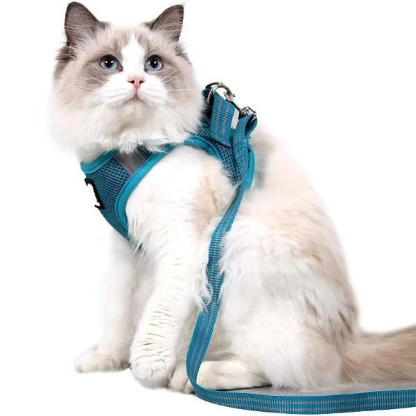 Dotoner Cat Harness and Leash Set Ultra-light Kitten Collar Soft and Comfortable Cat Walking Jacket Running Cushioning Escape Proof Suitable For Pupp