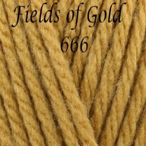 Hayfield Bonus Chunky 100g 666 Fields of Gold