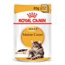 Royal Canin Maine Coon Gravy Adult Wet Cat Food 12 x 85g