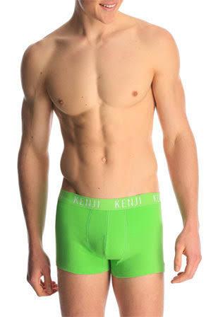 Kenji Fashion Fastdry Trunks Seaside Llama 2 Pack in Green S